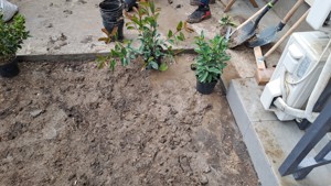 zilieri cautam de munca - imagine 3