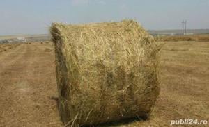 Baloti mari  rotunzi fan 160 120 neplouati calitate foarte buna 2025