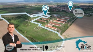 Teren intravilan de 5,5 ha pretabil fotovoltaice, în Zăbrani(ID: 26650)