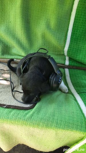 Sonorizari eveniment.  - imagine 6