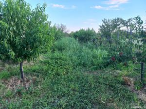 Vand casa de locuit si teren agricol si livada - imagine 9