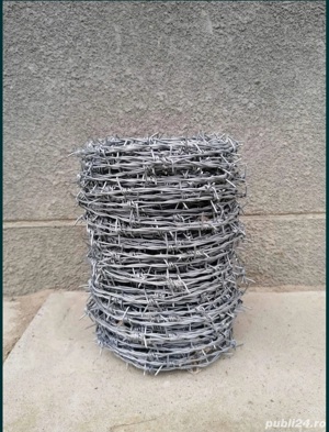 Sarma ghimpata zincaca - imagine 2