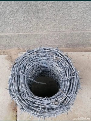 Sarma ghimpata zincaca