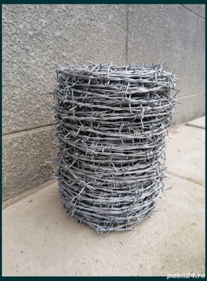 Sarma ghimpata zincaca - imagine 3