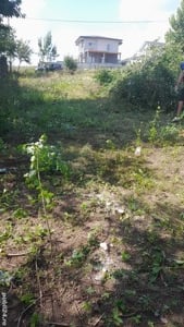 Defrisari Terenuri, curățare, cosire