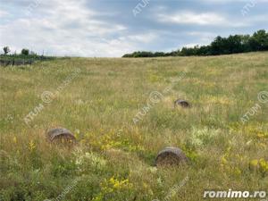 Teren intravilan pretabil constructie in Sura Mare langa Sibiu - imagine 2