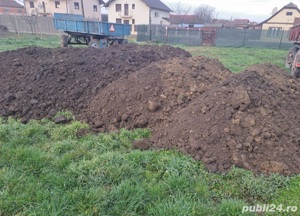 Pamant curat vegetal mranita