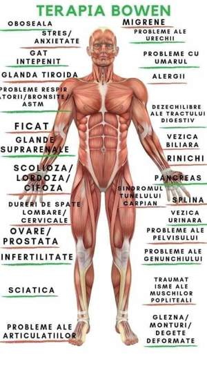 Reflexoterapie ,Tehnica Bowen(Bowtech), Reiki  - imagine 5