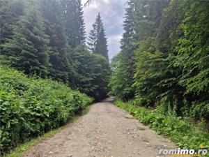 Refugiu la munte:teren pentru turism casa de vacanta,acces apa curgatoare, Moieciu,Bran,Brasov - imagine 10