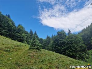 Refugiu la munte:teren pentru turism casa de vacanta,acces apa curgatoare, Moieciu,Bran,Brasov - imagine 14