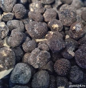 trufe negre congelate calitatea 1 sau 2