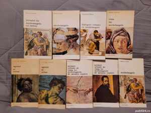 Michelangelo carti despre (9 vol)