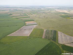 Teren arabil de 40 hectare în Zarand