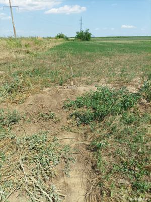 Vand teren agricol in intravilanul comunei Romanu