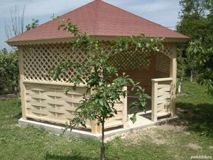 Foisoare - imagine 7