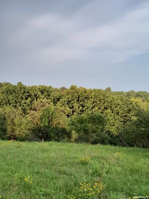 Vând 600mp teren intravilan lângă pădure, într-o zona mirifică cu acces stradal și toate utilitățile - imagine 2