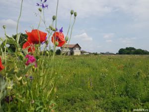 Vanzare loturi de teren parcelat, Sabareni, intravilan, 500-650 mp, utlitati - imagine 9