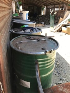 Miere rapita,floarea soarelui și salcam