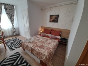 ***Reg.Hotelier Central Deva Studio ELVETIA - imagine 4