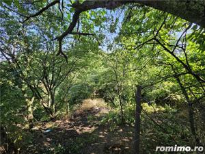 Casa la curte cu teren 646mp in Chiajna - imagine 3