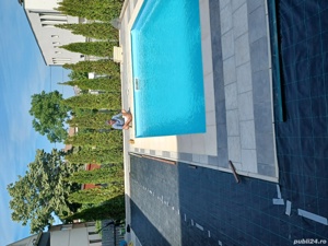 Zugravi calificati - imagine 6