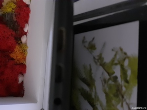 tableta blaupunkt 11 inch - imagine 2