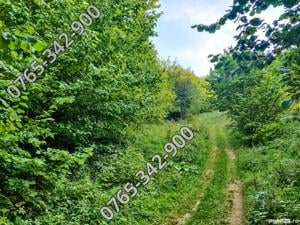 Vand Teren Intravilan in Bunloc, 10.000mp. - imagine 3