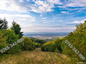 Vand Teren Intravilan in Bunloc, 10.000mp. - imagine 2