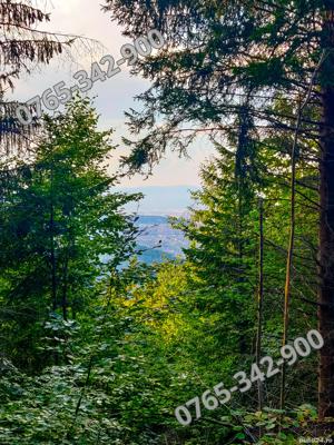 Vand Teren Intravilan in Bunloc, 10.000mp. - imagine 7