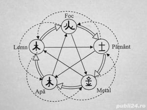 Diagnoză și tratament fără dureri care ameliorează starea generală de sănătate, prin Electropunctură - imagine 5