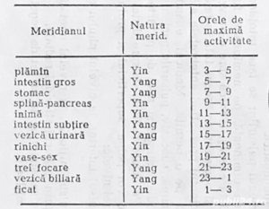 Diagnoză și tratament fără dureri care ameliorează starea generală de sănătate, prin Electropunctură - imagine 8