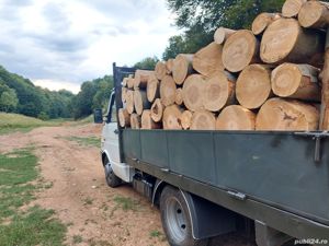 Lemn de foc esență tare  - imagine 3