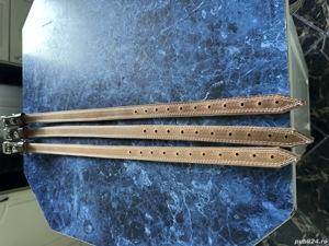 Zgarda ptr câini si pisici  - imagine 3