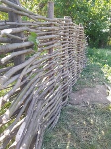 Gard de nuiele, bețe, pari! - imagine 2