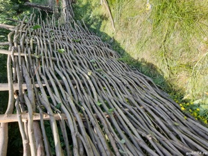 Gard de nuiele, bețe, pari! - imagine 5