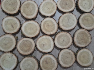 Alee pavata cu rondele de lemn, cărare, dale, felii, pavaj cu lemn rustic - imagine 6