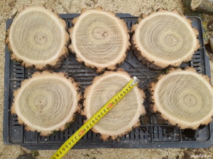 Alee pavata cu rondele de lemn, cărare, dale, felii, pavaj cu lemn rustic - imagine 7