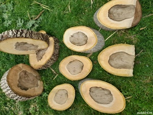 Alee pavata cu rondele de lemn, cărare, dale, felii, pavaj cu lemn rustic - imagine 8