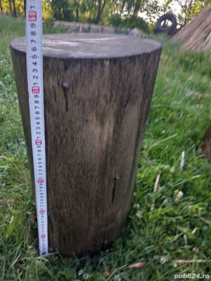 Trunchi de dud/nuc/cireș/vișin/măr/salcâm/păr/ulm - imagine 4