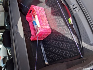 Ford Kuga 2,0 L, 13.200 km, Diesel 150 cp, 380 Nm - imagine 8