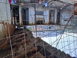 Vând porumbei de fond - imagine 2