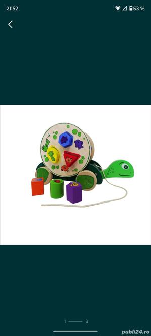 Broasca țestoasă lemn - imagine 2