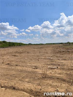 Teren intravilan de vanzare 28.200 mp Bucuresti Sector 6 - imagine 5