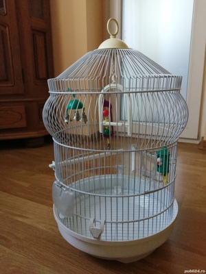 Colivie pasari mici - imagine 3