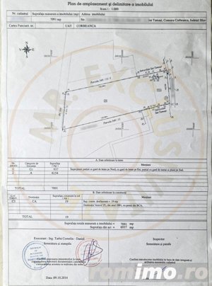 Teren intravilan, 7100 mp, cu utilitati, la asfalt - imagine 4
