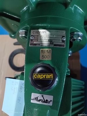 Pompa de debit si presiune inalta Caprari D3 65B - imagine 5