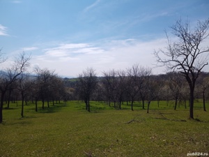 teren in Timiș zona de munte Valea lui Liman  - imagine 6