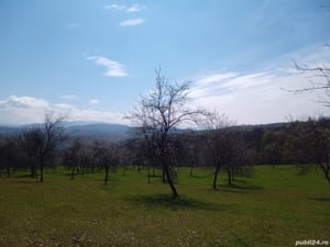 teren in Timiș zona de munte Valea lui Liman  - imagine 2