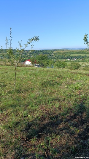 Parcele Teren Barnova -Todirel, aproape de pădure  - imagine 9