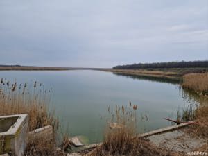 Balta pescuit, naturala, zona Urziceni-Slobozia - imagine 2